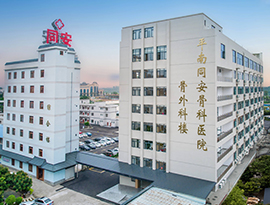 鸟瞰图