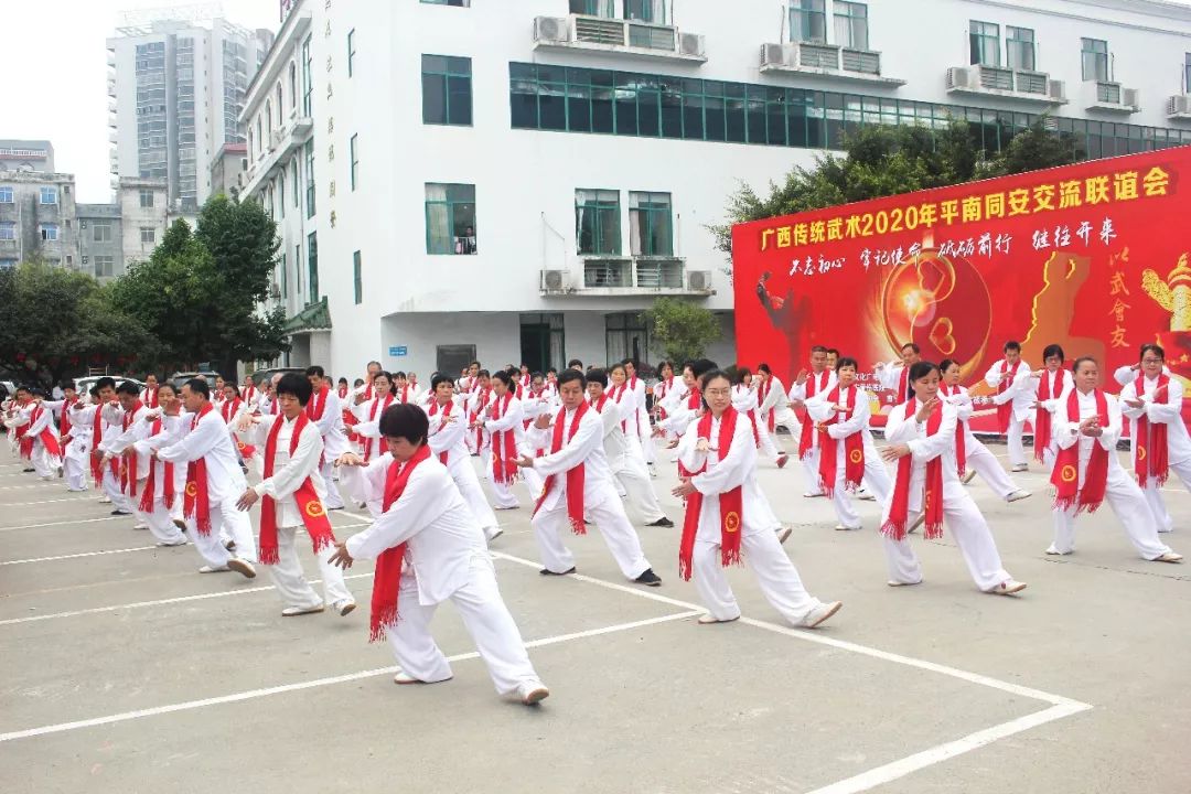 骨伤,骨科,交流会,武术